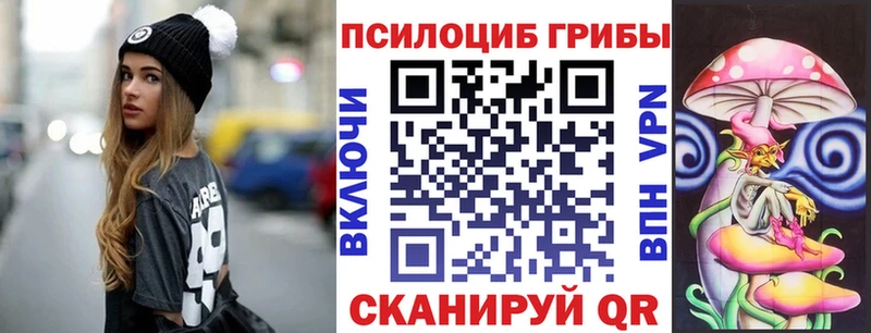 Купить  Магас  Псилоцибиновые грибы GOLDEN TEACHER 