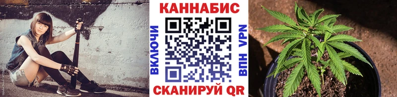 Бошки марихуана планчик  Купить где  Магас 
